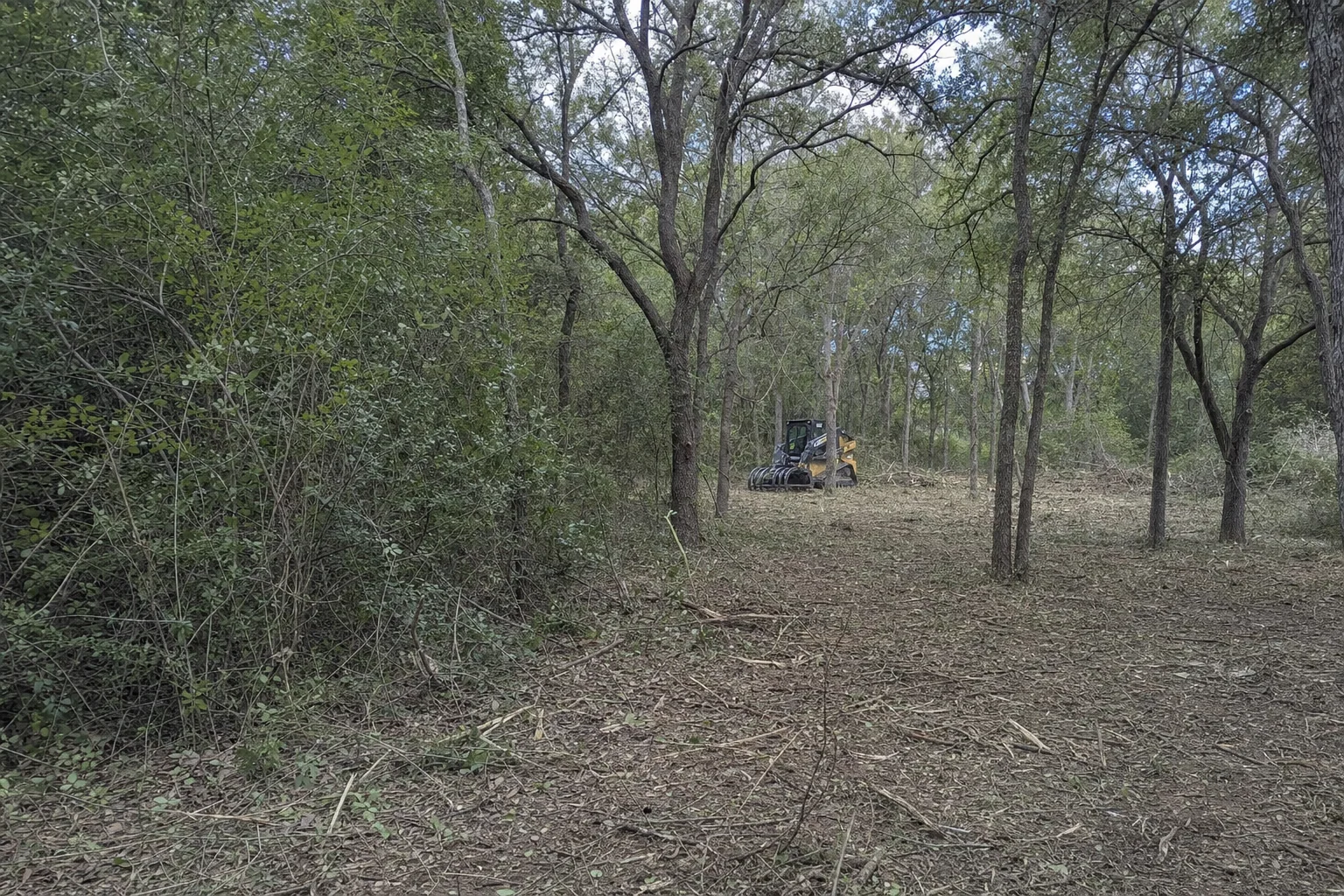 Cut stems cover the open understory, with the grapple loader farther back.