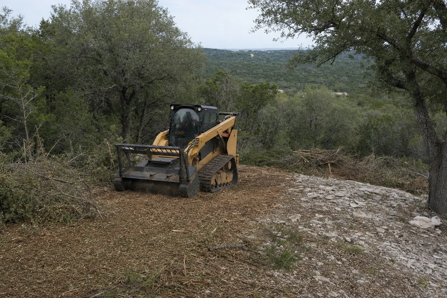 Cedar chips cover a rocky opening above the wooded hills.