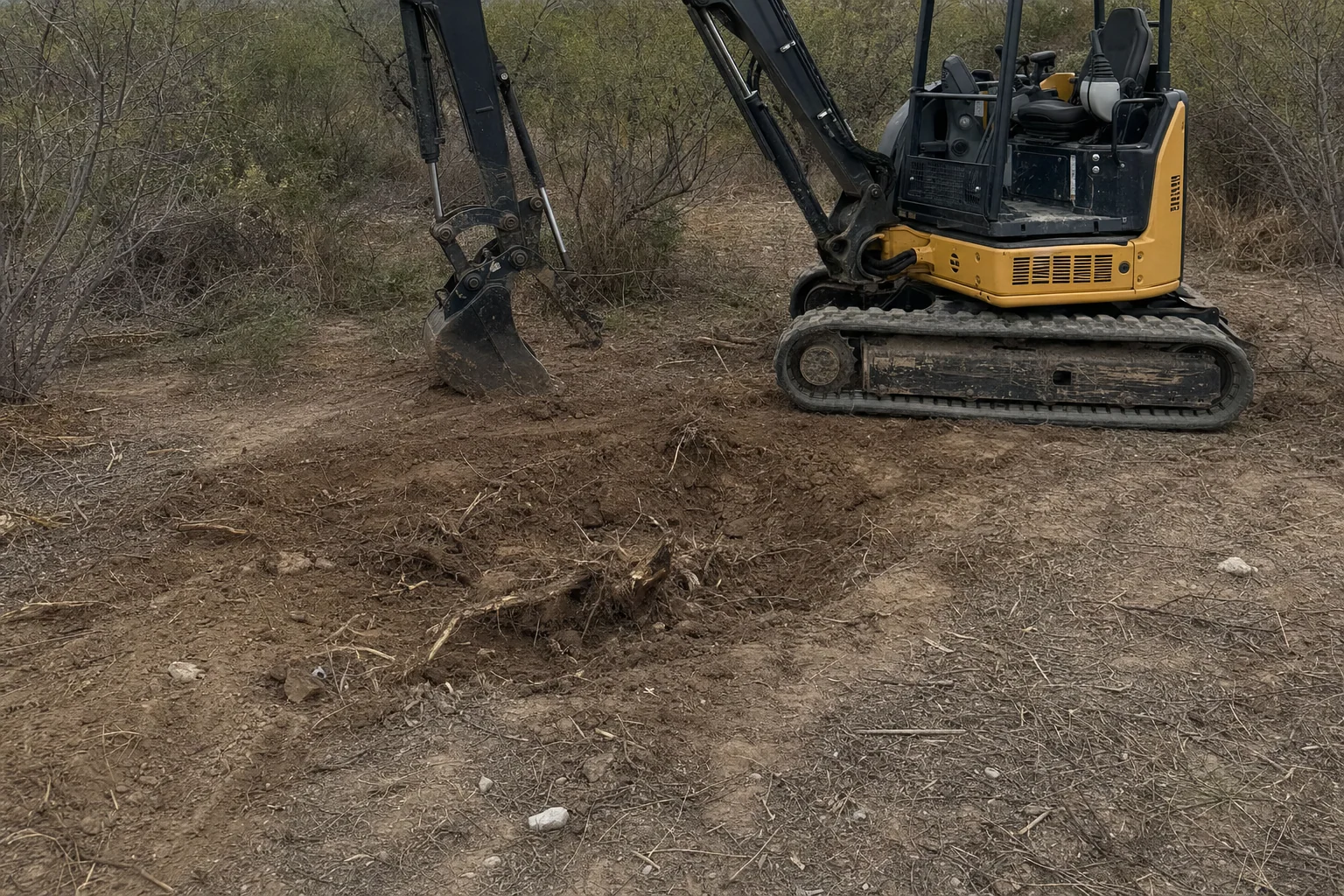 Loose roots fill a shallow disturbed patch below the resting excavator bucket.