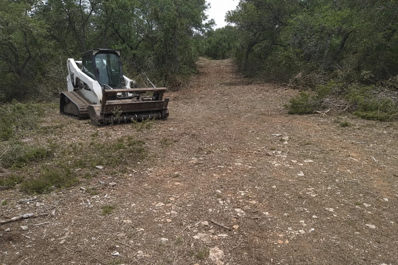 Small limestone pieces dot the opened route through oak and cedar cover.