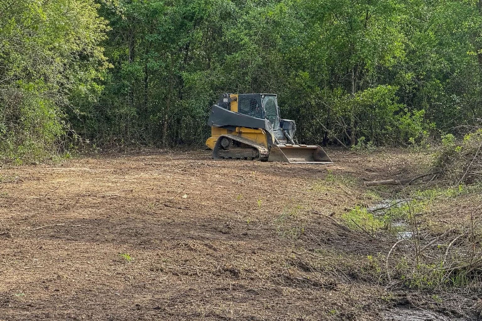 Cleared ground slopes toward a shallow wet strip along the brush edge.
