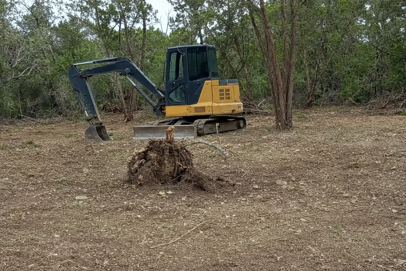 Loose roots cling to the pulled stump in front of the compact excavator.
