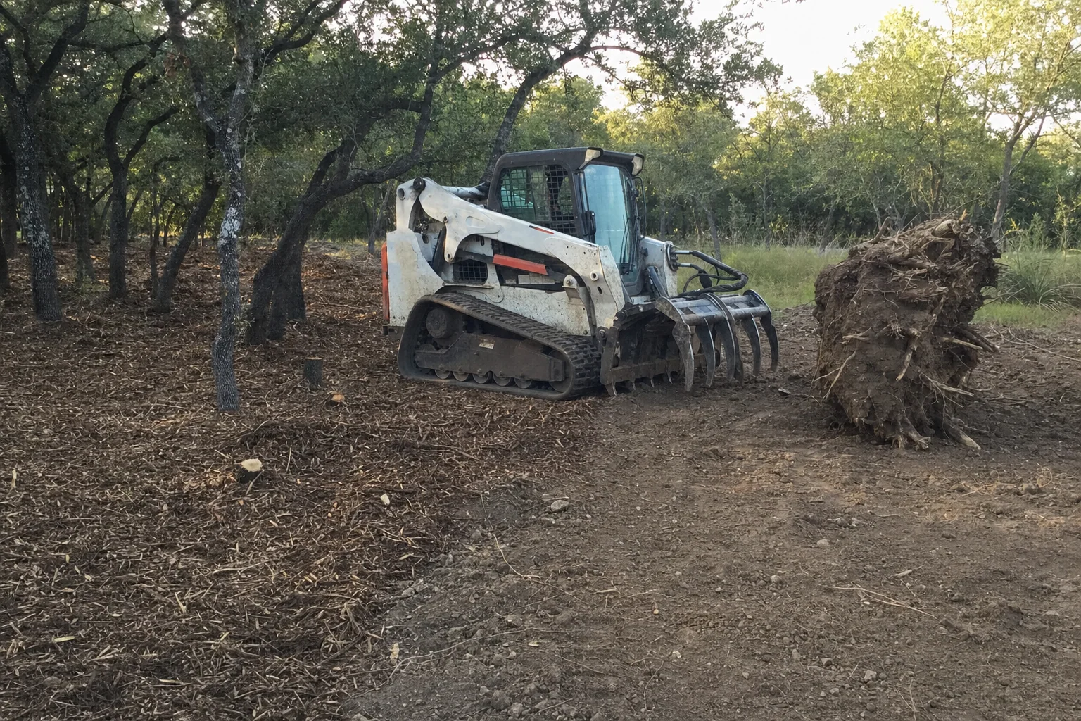 A grapple sits beside the pulled root ball under the remaining oaks.